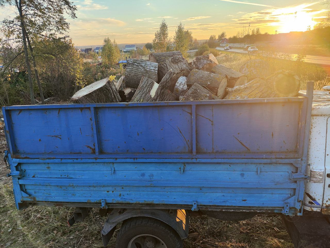 Вывоз древесины