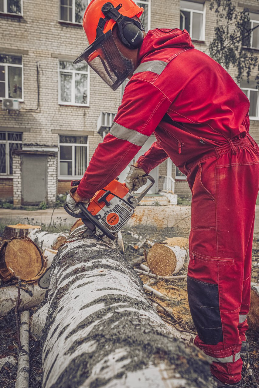Спил дерева рядом с жилым домом