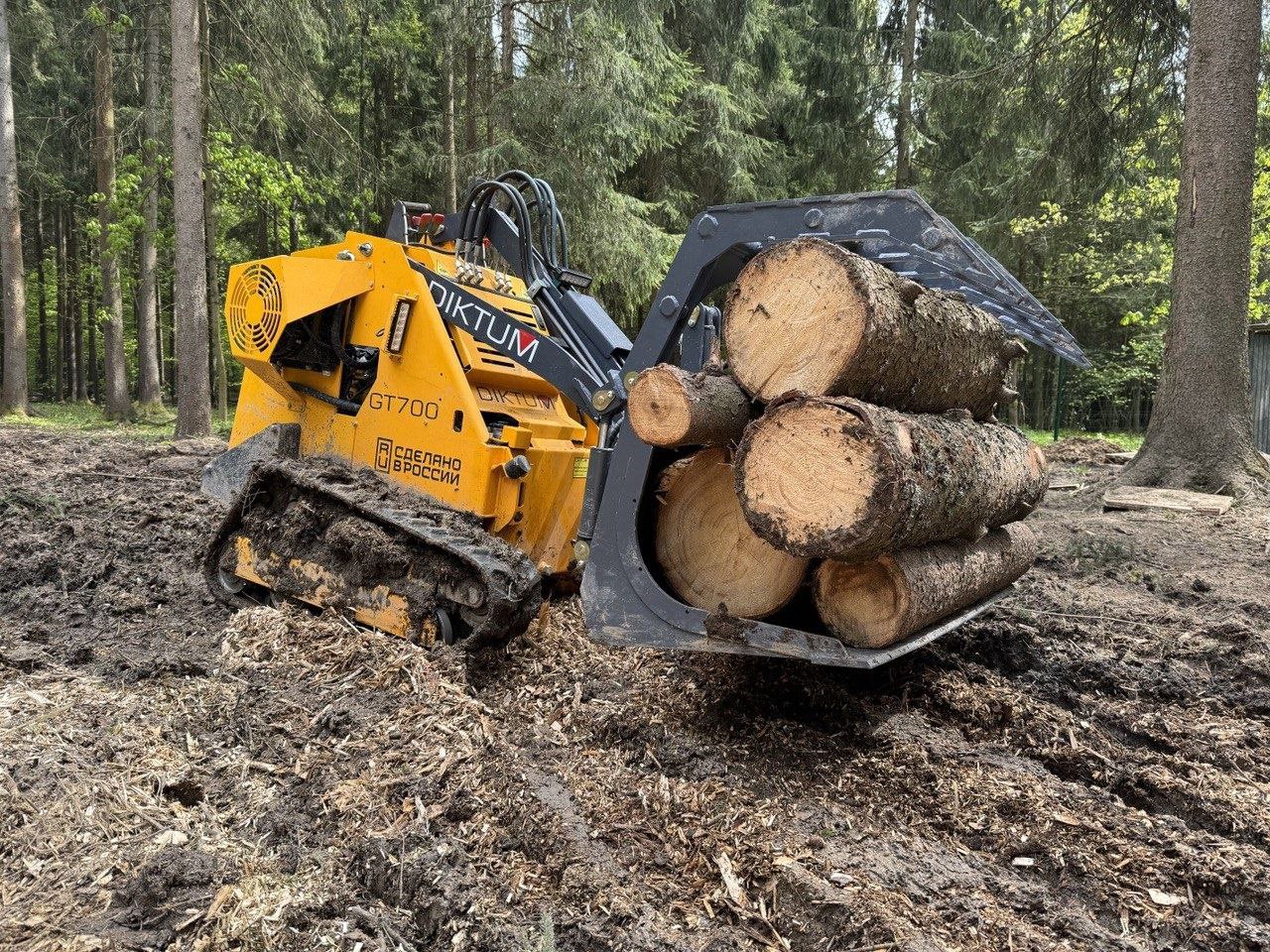 Расчистка леса техникой
