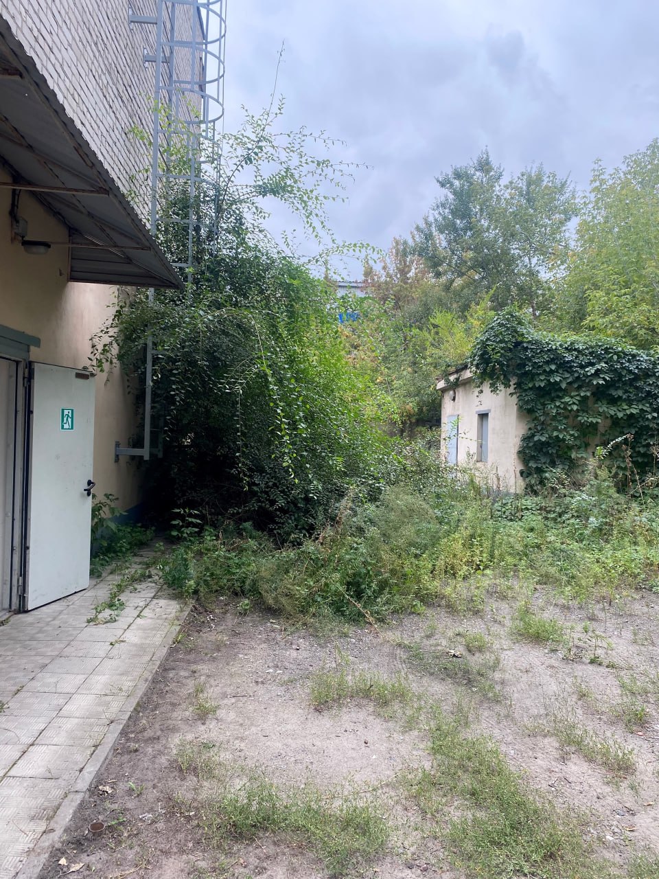 До расчистки городского двора