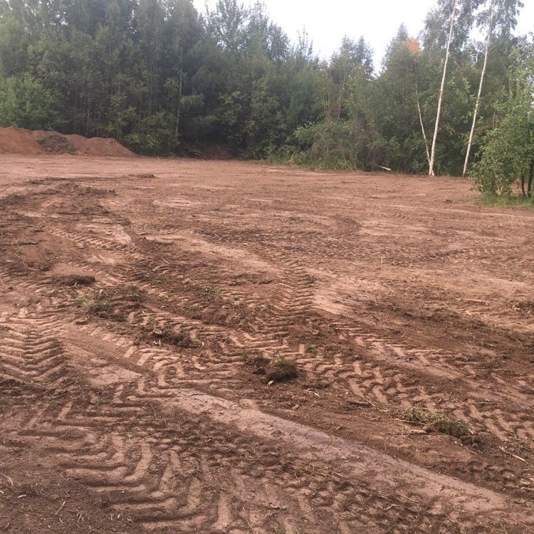 Большой участок расчищен